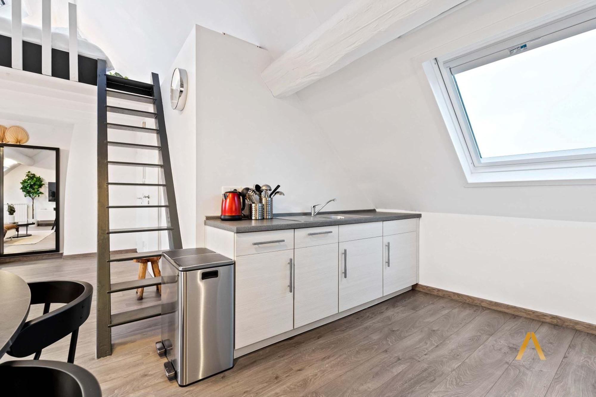 Charming 1Br Loft In Ville-Haute, ルクセンブルク エクステリア 写真